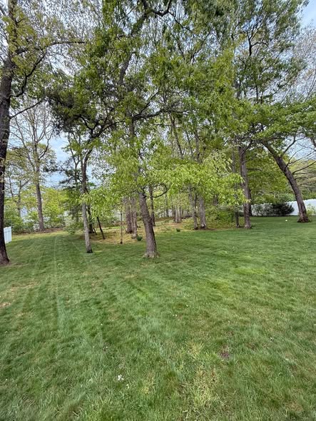 Freshly mowed residential lawn in Ocean County, NJ